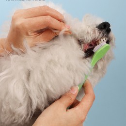 반려동물 컬러스틱 양면 2타입 칫솔