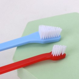 반려동물 컬러스틱 양면 2타입 칫솔